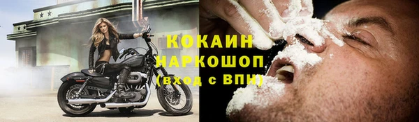 СК Новозыбков