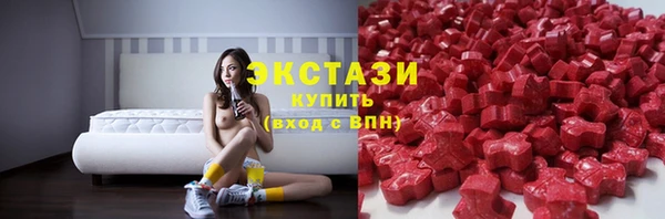 СК Новозыбков