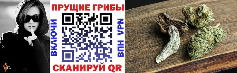 Псилоцибиновые грибы прущие грибы  блэк спрут зеркало  Луга 