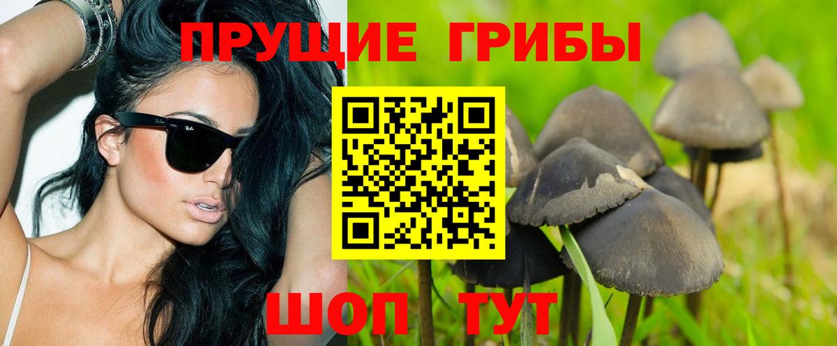Псилоцибиновые грибы Magic Shrooms Луга
